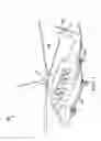 Fig. 02 - Gearbox filler assembly