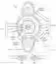 Fig. 01 - Gas burner