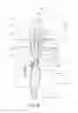 Fig. 09 - Grommet for cook top