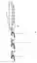 Fig. 06 - MOUNTABLE VEHICLE IMPLEMENT