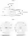 Fig. 04 - Light sensing device and particle sensing device