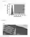 Fig. 09 - ULTRASENSITIVE NITROGEN DIOXIDE GAS SENSOR BASED ON IRON NANOCUBES