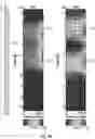 Fig. 09 - Thickness value restoration in eddy current pipe inspection