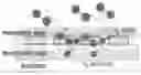 Fig. 01 - Method for manufacturing chemochromic nanoparticles