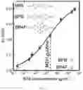 Fig. 09 - Multiplexed detection of toxins using graphene-based aptasensors