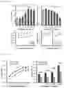 Fig. 07 - METHOD FOR PREPARING TOPOGRAPHICALLY STRUCTURED MICROARRAYS