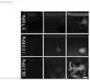 Fig. 09 - METHOD FOR PREPARING TOPOGRAPHICALLY STRUCTURED MICROARRAYS