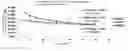 Fig. 01 - METHOD FOR SCREENING REFRESHING ESSENTIAL OILS OR PRODUCTS THEREOF