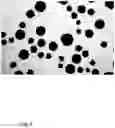 Fig. 03 - Magnetic immunoglobulin-binding particles