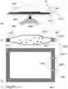 Fig. 20 - Magnetic immunoglobulin-binding particles
