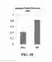 Fig. 03 - Image analysis and measurement of biological samples