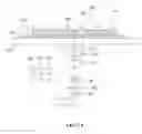 Fig. 12 - Image analysis and measurement of biological samples