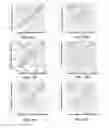 Fig. 23 - Image analysis and measurement of biological samples