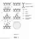 Fig. 02 - Methods for determining vaccine potency