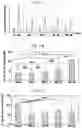 Fig. 02 - MARKER FOR EARLY DIAGNOSIS OF KIDNEY FAILURE