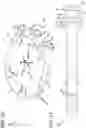 Fig. 08 - Augmented reality system eye relief adjustment mechanism
