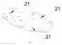 Fig. 05 - Optical system and light fixture using the same