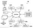 Fig. 01 - Gaze-activated voice services for interactive workspaces
