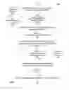 Fig. 09 - Fan-out asynchronous replication logical level caching