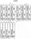 Fig. 07 - Arithmetic processing device for deep learning and control method of the arithmetic processing device for deep learning