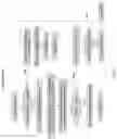 Fig. 08 - Abstraction of backtracking