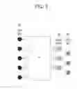 Fig. 06 - Memory system with hybrid iterative decoding capability and method of operating such memory system