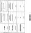Fig. 09 - Techniques for creating characterization matrices for reflectance, illuminance, or sensor response