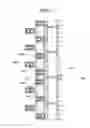 Fig. 06 - Keyboard apparatus