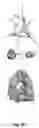 Fig. 06 - Self-Assembling Protein Nanostructures