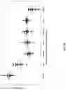 Fig. 37 - SIZE-TAGGED PREFERRED ENDS AND ORIENTATION-AWARE ANALYSIS FOR MEASURING PROPERTIES OF CELL-FREE MIXTURES