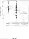 Fig. 47 - SIZE-TAGGED PREFERRED ENDS AND ORIENTATION-AWARE ANALYSIS FOR MEASURING PROPERTIES OF CELL-FREE MIXTURES