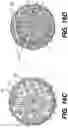Fig. 22 - Nanocomposite battery electrode particles with changing properties