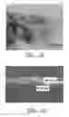 Fig. 02 - IONIC RECEPTORS TO REGULATE THE POLYSULFIDE SHUTTLE IN LITHIUM-SULFUR BATTERIES