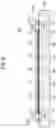 Fig. 07 - Electronic apparatus and electrical element
