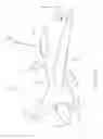 Fig. 02 - Zero weight airborne antenna with near perfect radiation efficiency utilizing conductive airframe elements and method