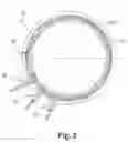 Fig. 03 - Coiled stator for a rotary electrical machine