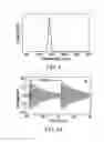 Fig. 08 - Device for generating electrical power from low frequency oscillations