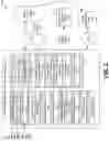 Fig. 03 - Automated pause of media content playback based on sound level