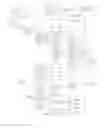 Fig. 09 - System and method for transmitting and processing group message in a store