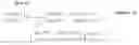 Fig. 47 - Transmission method, transmitter apparatus, reception method and receiver apparatus