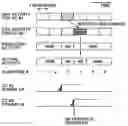 Fig. 01 - Reconfiguration of active component carrier set in multi-carrier wireless systems related application