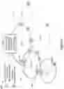 Fig. 05 - Viral system discovery and installation for distributed networks