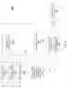 Fig. 08 - Software load balancer to maximize utilization