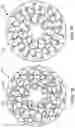 Fig. 09 - Configurable optical baffling for use with multiple-field-of-view optical sensor system