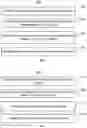 Fig. 04 - VIDEO SUMMARIZATION SYSTEMS AND METHODS