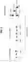 Fig. 02 - Method and apparatus for configuring path in communication system including Xhaul network