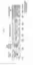 Fig. 02 - Method and apparatus for transmitting signal in wireless communication system