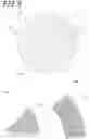 Fig. 07 - SAMPLE HOLDER