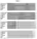 Fig. 02 - Generation of haploid plants and improved plant breeding