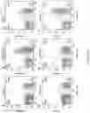 Fig. 08 - Genetically modified non-human animal with human or chimeric CD137